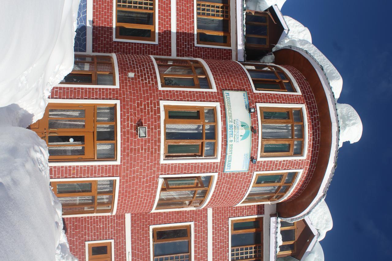 Fluorescence Hotel And Restaurant Гульмарг Экстерьер фото